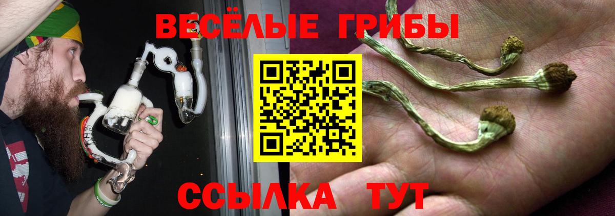 Галлюциногенные грибы мицелий  Псилоцибиновые грибы мицелий  Вход с VPN  Благодарный 